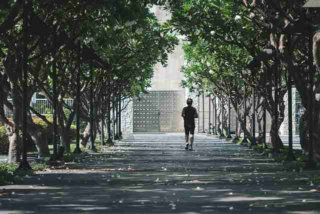 操作指南：如何在91黑料中快速掌握用户增长策略与会员权益说明